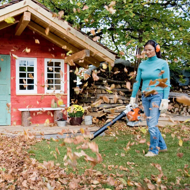 souffleur de feuilles